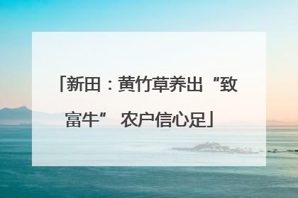 新田：黄竹草养出“致富牛” 农户信心足