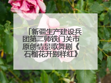新疆生产建设兵团第二师铁门关市原创情景歌舞剧《石榴花开别样红》将来河北巡演