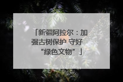 新疆阿拉尔：加强古树保护 守好“绿色文物”