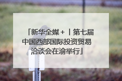 新华全媒＋丨第七届中国西部国际投资贸易洽谈会在渝举行