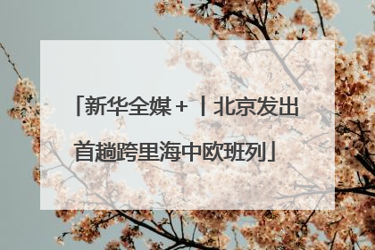 新华全媒＋丨北京发出首趟跨里海中欧班列