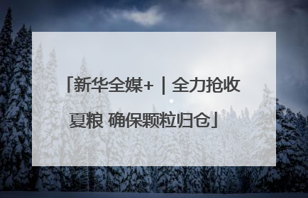 新华全媒+｜全力抢收夏粮 确保颗粒归仓