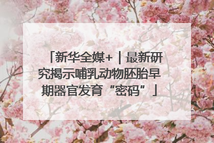 新华全媒+｜最新研究揭示哺乳动物胚胎早期器官发育“密码”