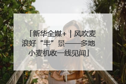 新华全媒+｜风吹麦浪好“丰”景——多地小麦机收一线见闻