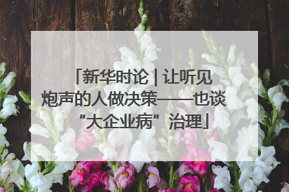 新华时论 | 让听见炮声的人做决策——也谈“大企业病”治理