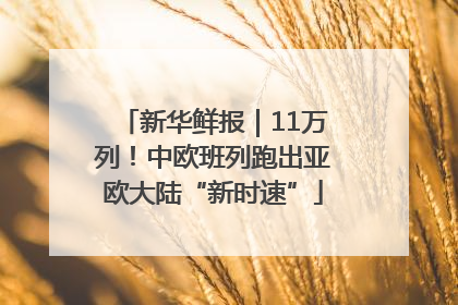 新华鲜报｜11万列！中欧班列跑出亚欧大陆“新时速”