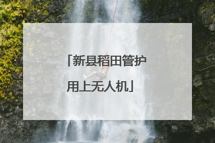 新县稻田管护用上无人机