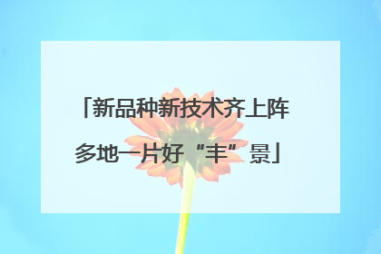 新品种新技术齐上阵 多地一片好“丰”景