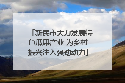 新民市大力发展特色瓜果产业 为乡村振兴注入强劲动力