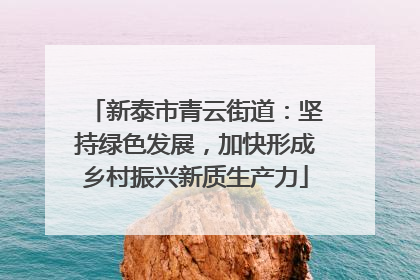 新泰市青云街道：坚持绿色发展，加快形成乡村振兴新质生产力
