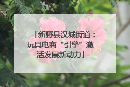 新野县汉城街道：玩具电商“引擎”激活发展新动力