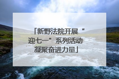 新野法院开展“迎七一”系列活动 凝聚奋进力量