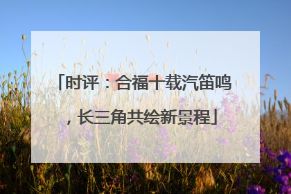 时评：合福十载汽笛鸣，长三角共绘新景程