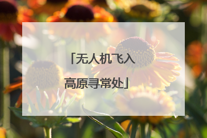无人机飞入高原寻常处