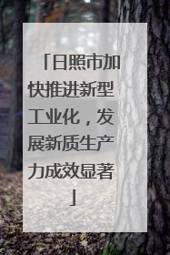 日照市加快推进新型工业化，发展新质生产力成效显著