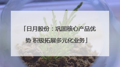 日月股份：巩固核心产品优势 积极拓展多元化业务