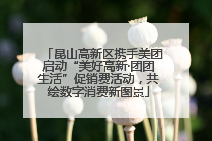 昆山高新区携手美团启动“美好高新·团团生活”促销费活动，共绘数字消费新图景