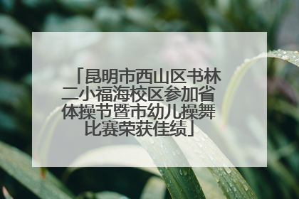 昆明市西山区书林二小福海校区参加省体操节暨市幼儿操舞比赛荣获佳绩