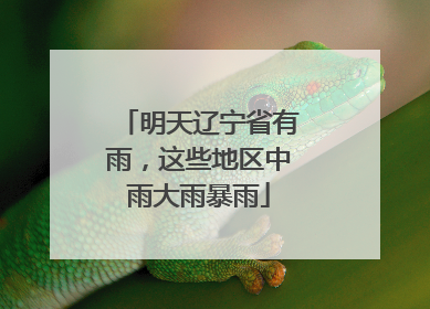 明天辽宁省有雨，这些地区中雨大雨暴雨