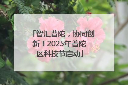 智汇普陀，协同创新！2025年普陀区科技节启动