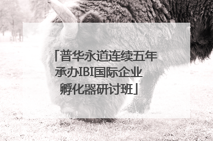 普华永道连续五年承办IBI国际企业孵化器研讨班