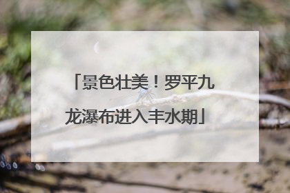 景色壮美！罗平九龙瀑布进入丰水期