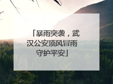 暴雨突袭，武汉公安顶风冒雨守护平安