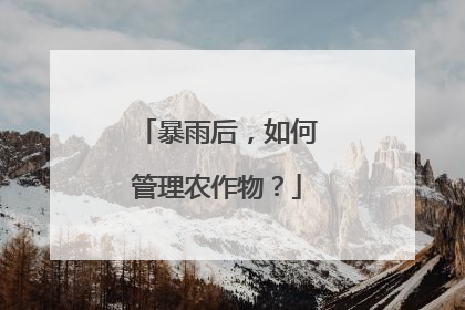 暴雨后，如何管理农作物？