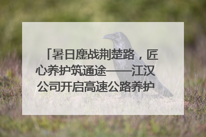 暑日鏖战荆楚路，匠心养护筑通途——江汉公司开启高速公路养护专项工程建设热潮
