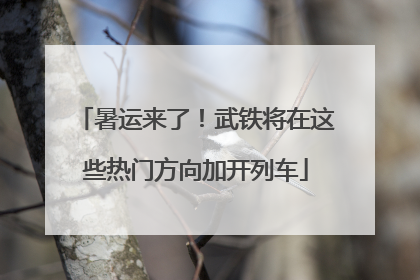 暑运来了！武铁将在这些热门方向加开列车
