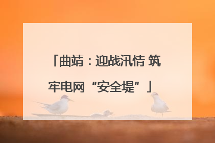 曲靖：迎战汛情 筑牢电网“安全堤”