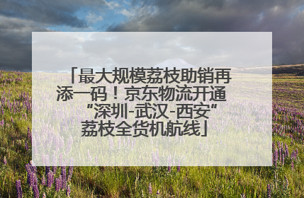最大规模荔枝助销再添一码！京东物流开通“深圳-武汉-西安” 荔枝全货机航线
