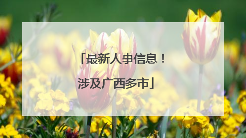 最新人事信息！涉及广西多市