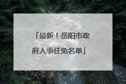 最新！岳阳市政府人事任免名单