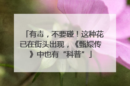 有毒，不要碰！这种花已在街头出现，《甄嬛传》中也有“科普”