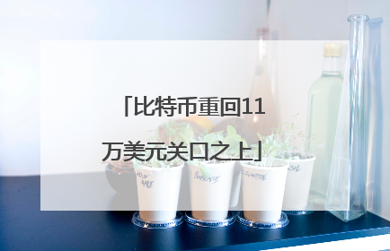 比特币重回11万美元关口之上