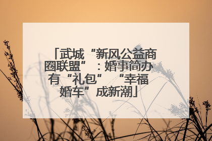武城“新风公益商圈联盟”：婚事简办有“礼包” “幸福婚车”成新潮