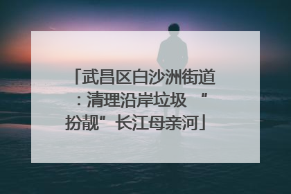 武昌区白沙洲街道：清理沿岸垃圾 “扮靓”长江母亲河