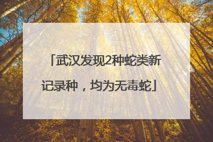 武汉发现2种蛇类新记录种，均为无毒蛇