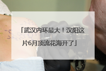武汉内环最大！汉阳这片6月顶流花海开了