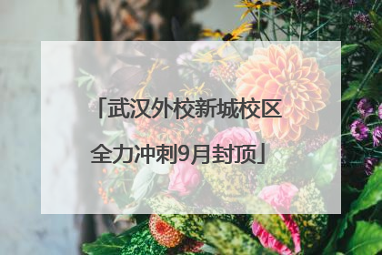 武汉外校新城校区全力冲刺9月封顶