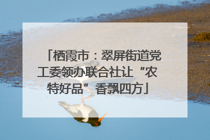 栖霞市：翠屏街道党工委领办联合社让“农特好品”香飘四方