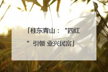 桂东青山：“四红”引领 业兴民富