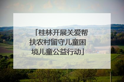 桂林开展关爱帮扶农村留守儿童困境儿童公益行动
