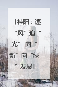 桂阳：逐“风”追“光” 向“新”向“绿”发展