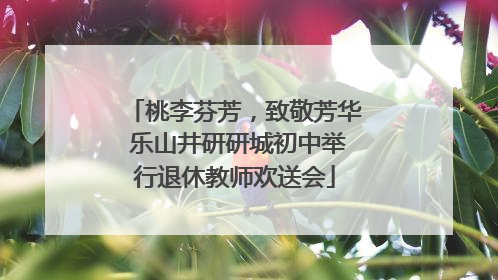 桃李芬芳，致敬芳华 乐山井研研城初中举行退休教师欢送会