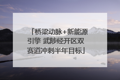桥梁动脉+新能源引擎 武陟经开区双赛道冲刺半年目标