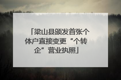 梁山县颁发首张个体户直接变更“个转企”营业执照