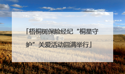 梧桐树保险经纪“桐星守护”关爱活动圆满举行