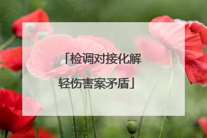 检调对接化解轻伤害案矛盾